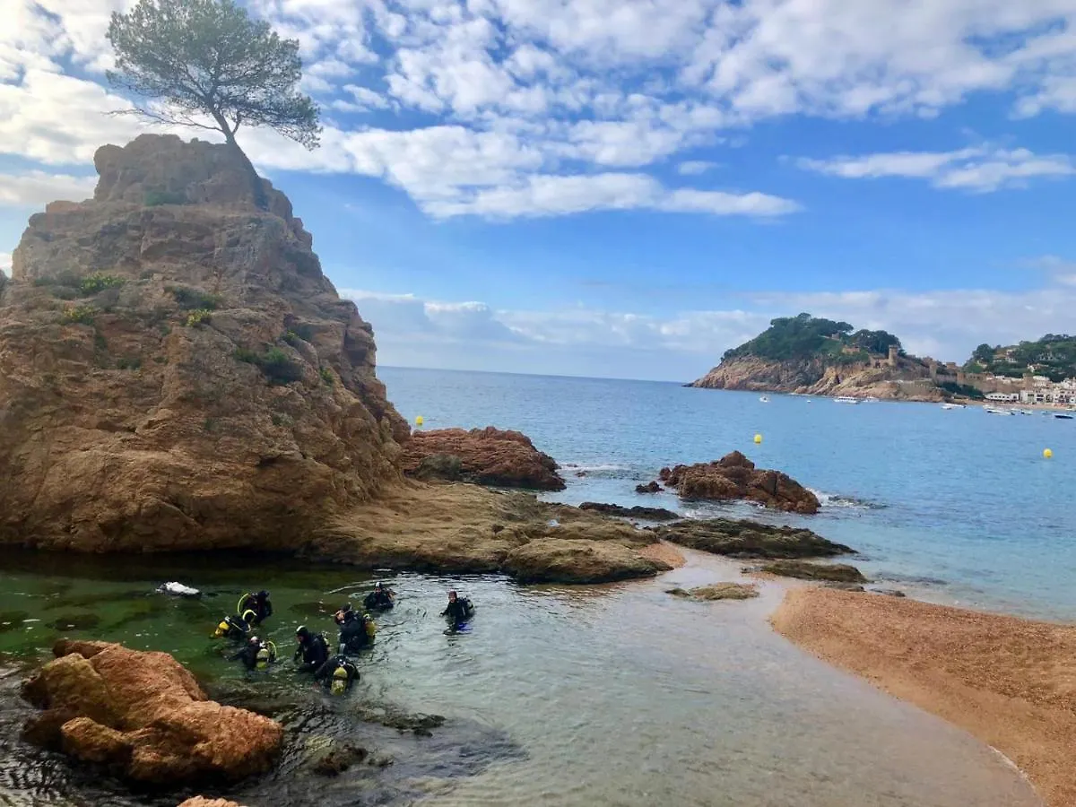 Apartments In The Forest With Sea View Tossa de Mar