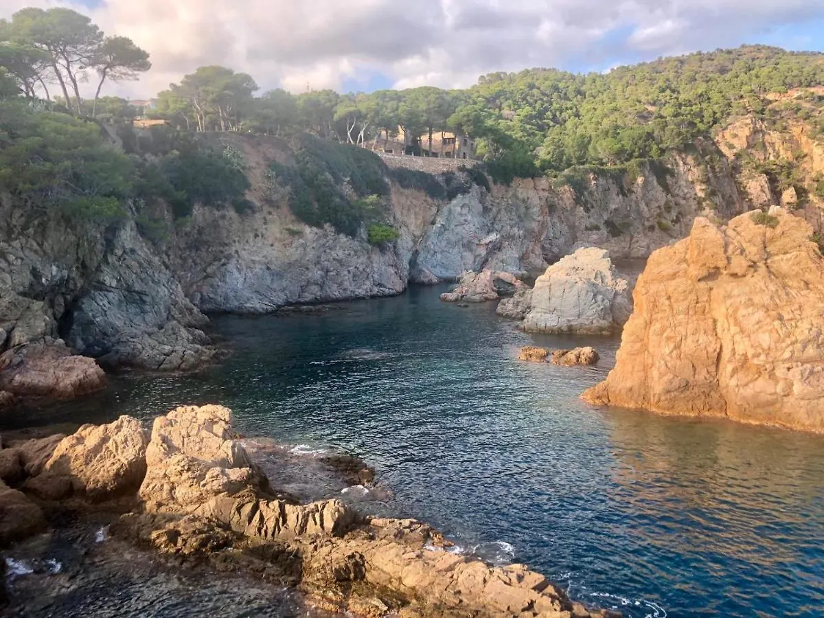 Apartments In The Forest With Sea View Tossa de Mar