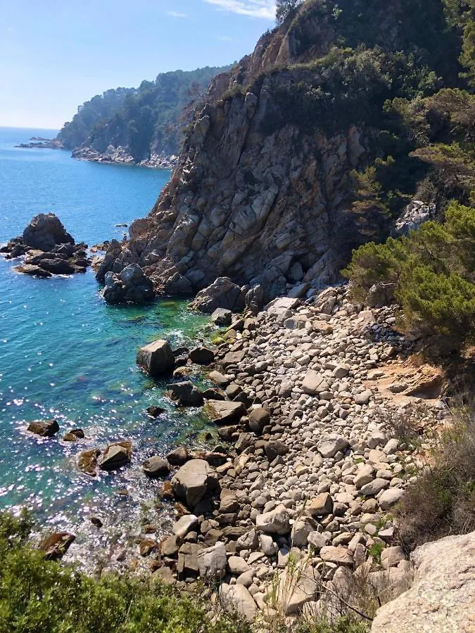 Apartments In The Forest With Sea View Tossa de Mar
