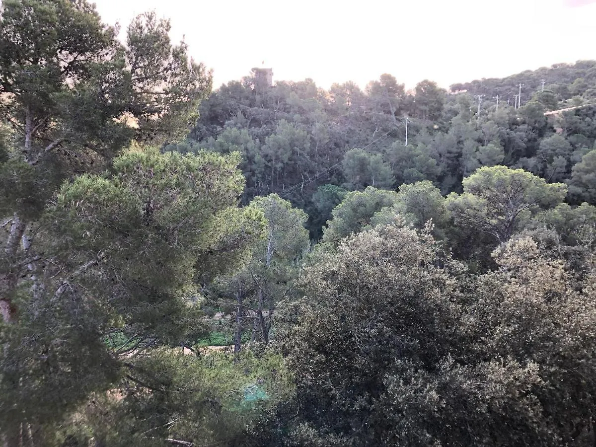 Apartments In The Forest With Sea View Tossa de Mar